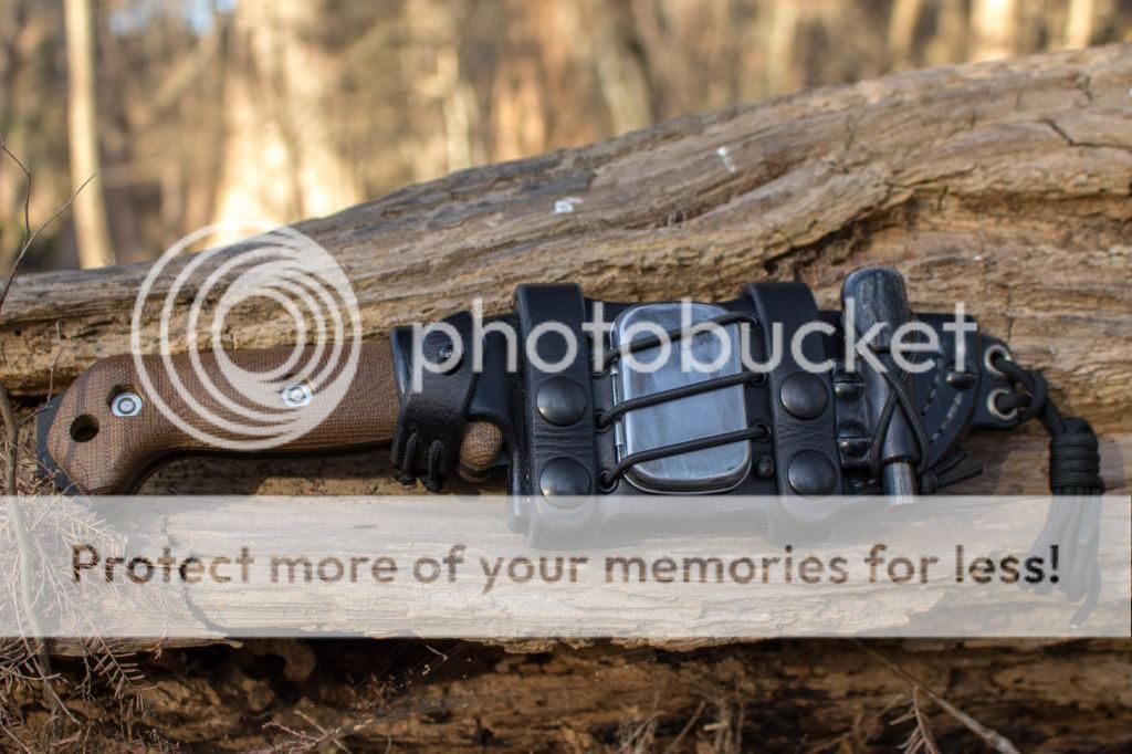 IMG_0448_zps73b9ad37.jpg~original