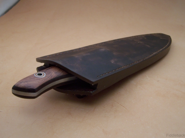 Drig102_0423-vi.jpg