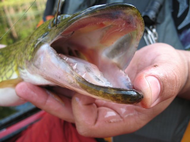 44fd92a7.jpg