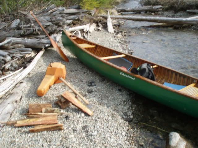 fatwood003.jpg