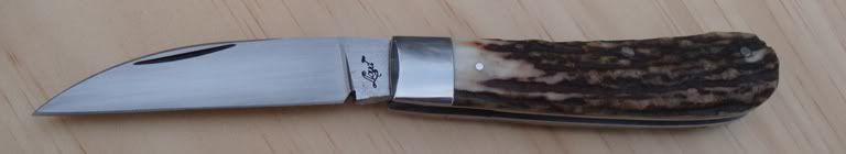 DSC00050.jpg