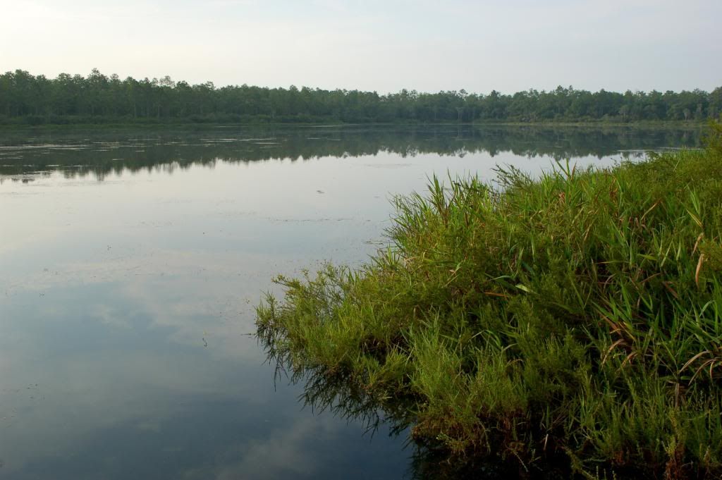 DSC_0014.jpg