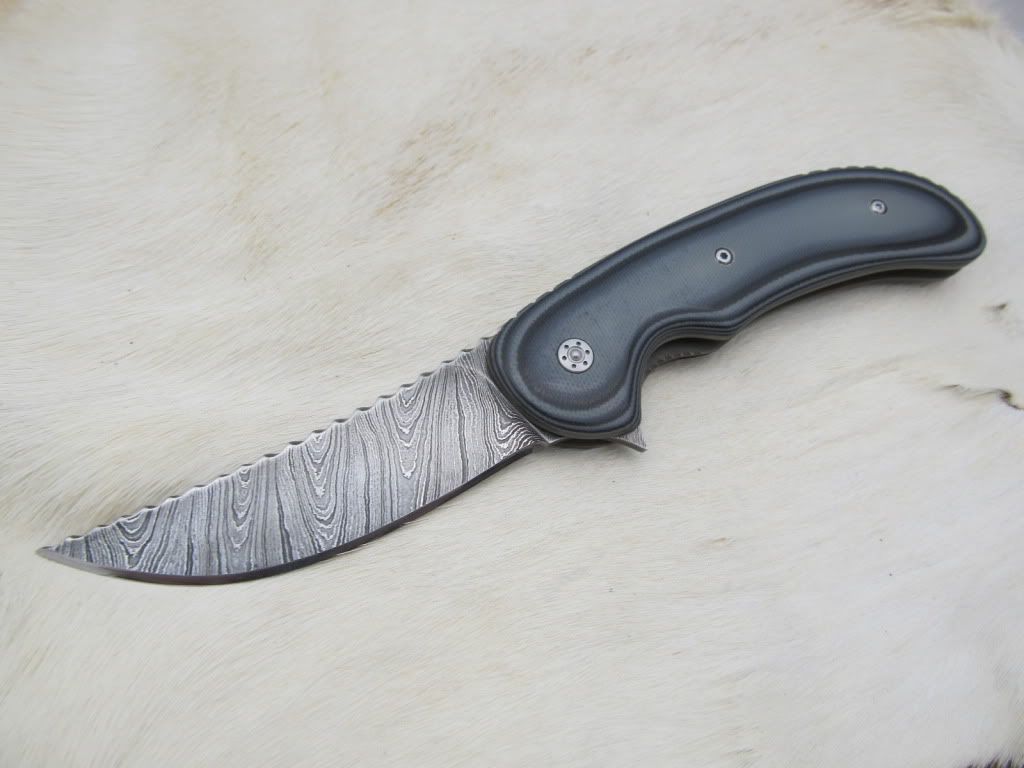 PersianFlipper021.jpg
