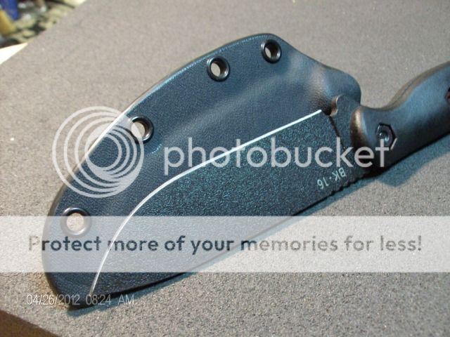 Beckerhead7.jpg