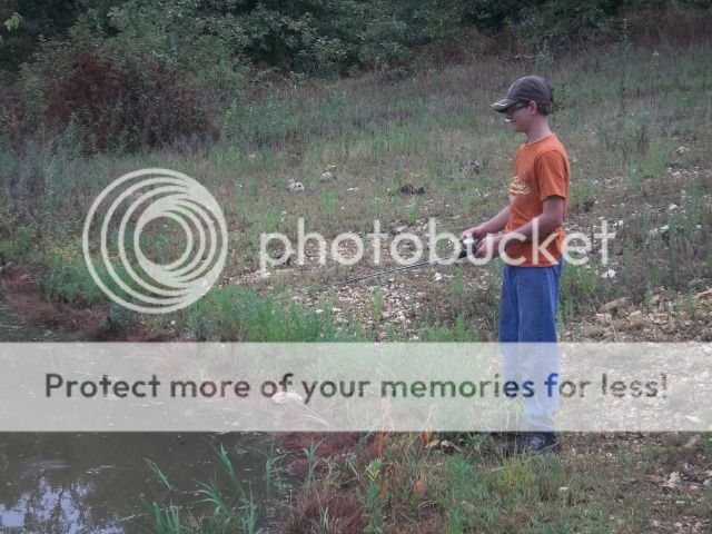 100_3353.jpg