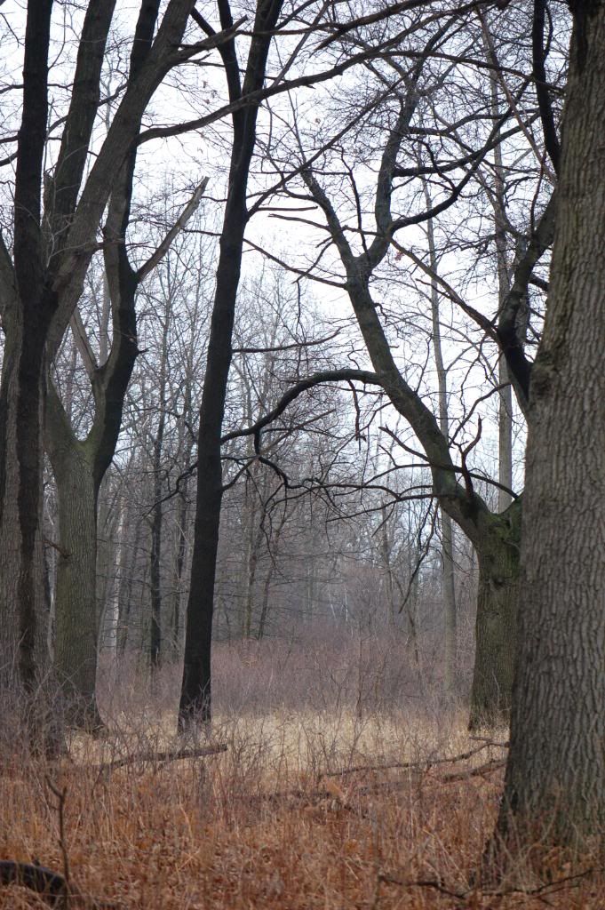 DSC_0020.jpg