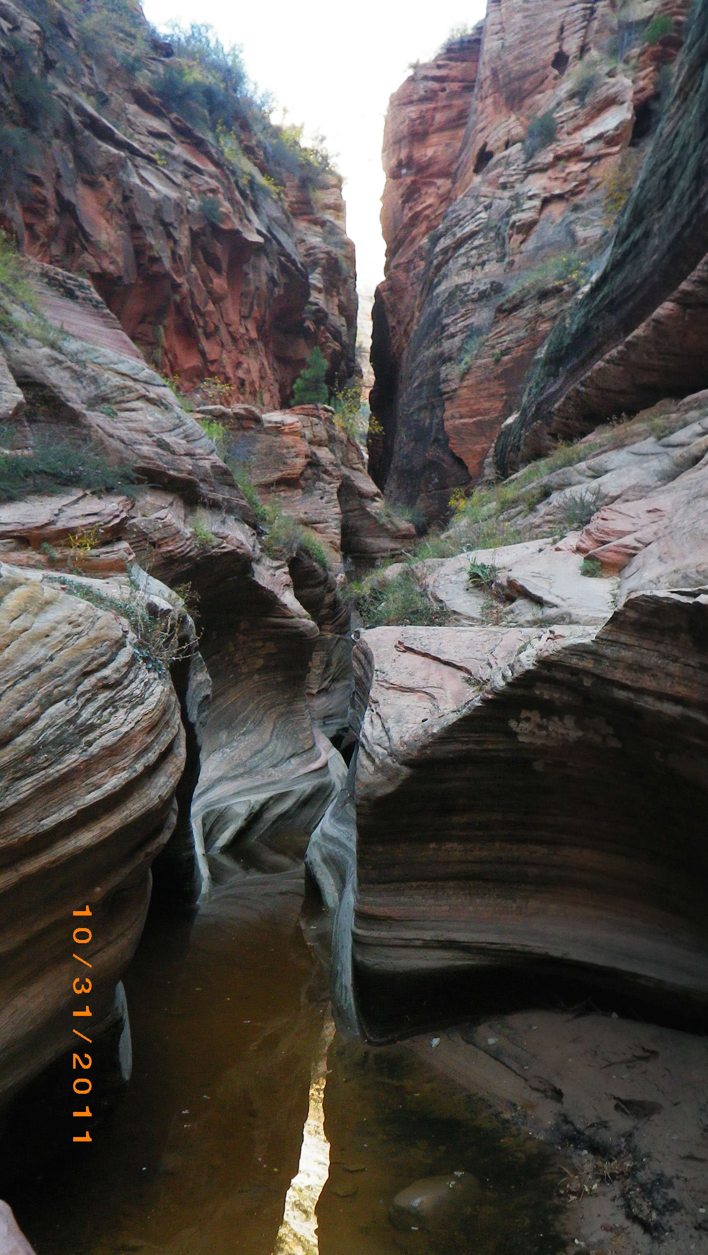 imgp4694yq.jpg