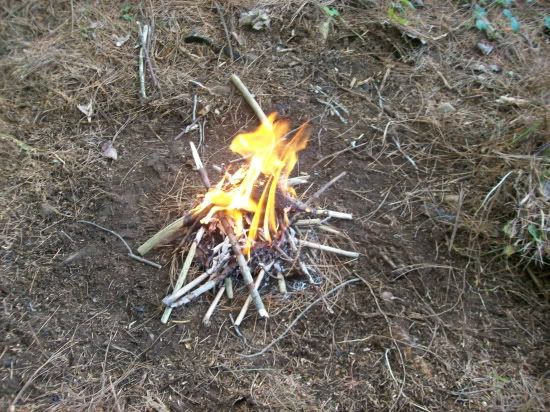 100_1155.jpg