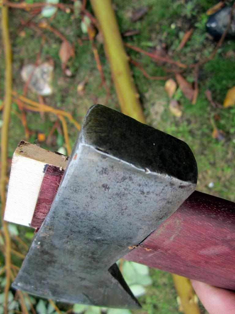 Picture-173.jpg