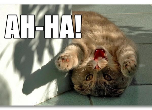 lolcat_AH-HA.jpg