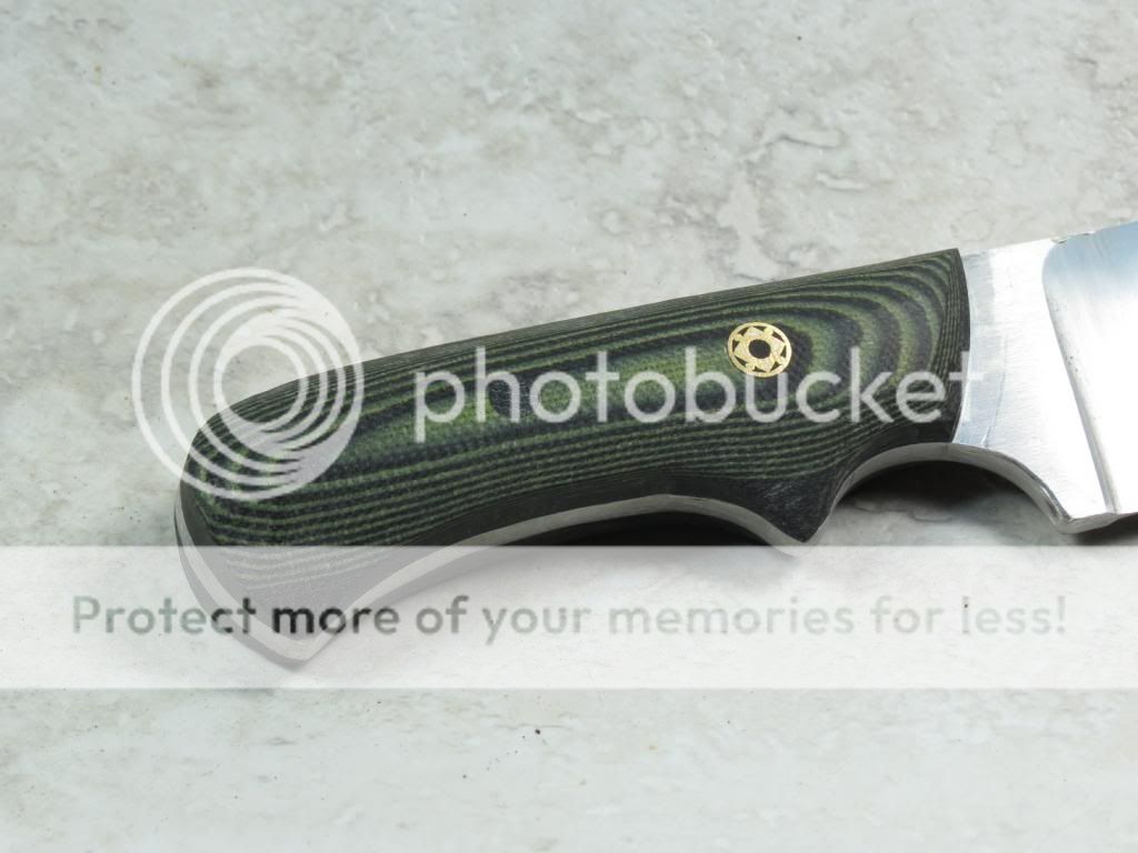 IMG_2207_zpsf380a95d.jpg