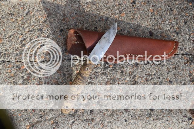 DSC_0218.jpg