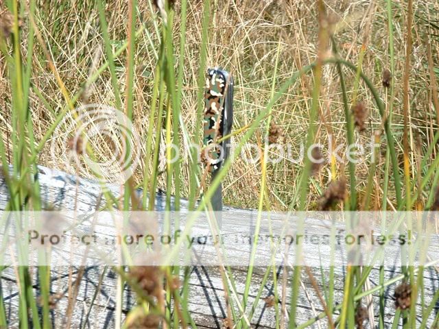 VicHuntsCamo5.jpg