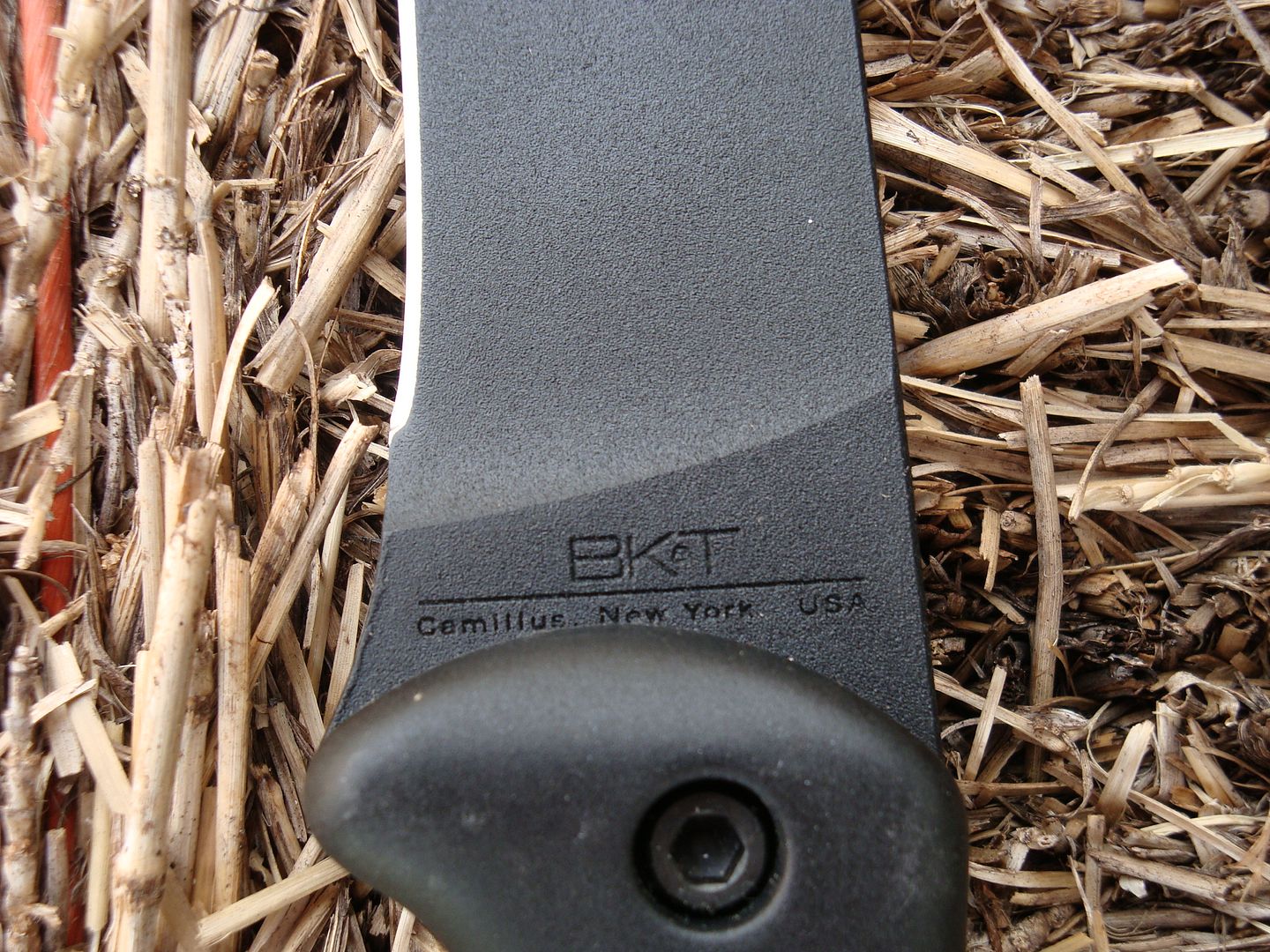 DSC01133.jpg