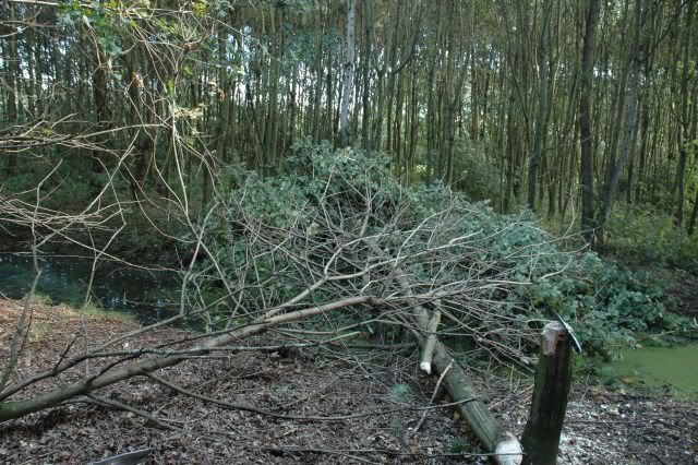 Afbeelding096.jpg