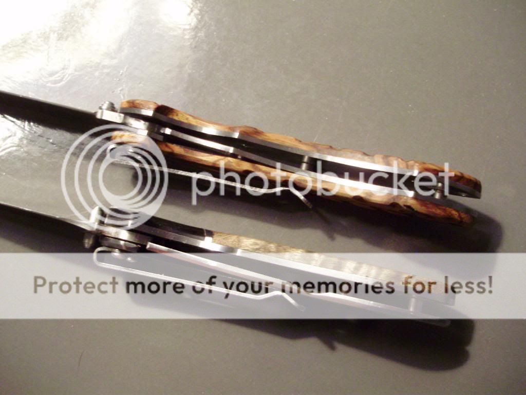 bkzw008_zpsc20c5647.jpg