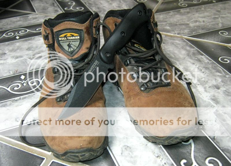 IMG_0156_zps77778443.jpg