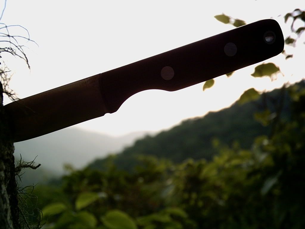 PICT0016-2.jpg