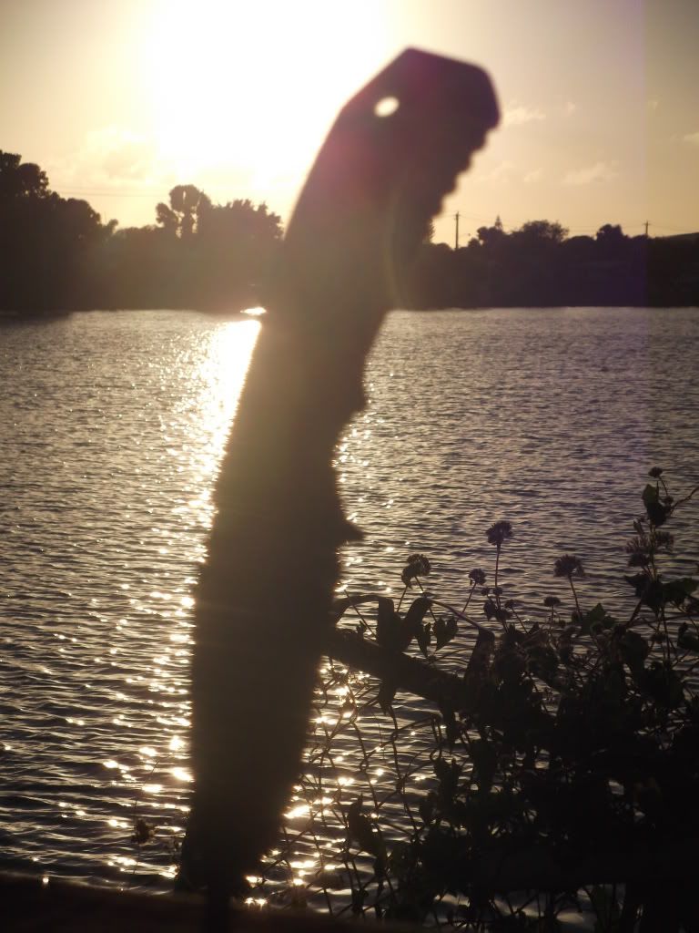 DSCF0199.jpg