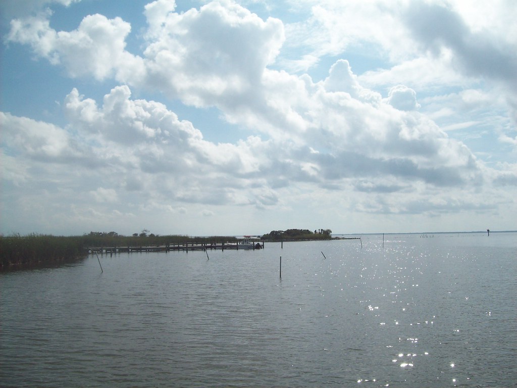 8076934569_54cbf5de31_b.jpg