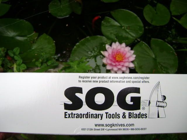 DSC00834.jpg