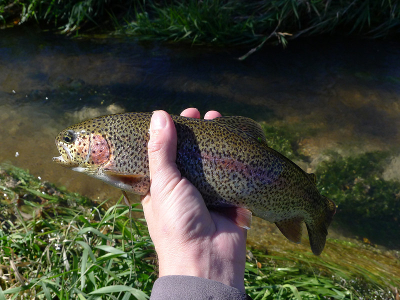 P1040980-L.jpg