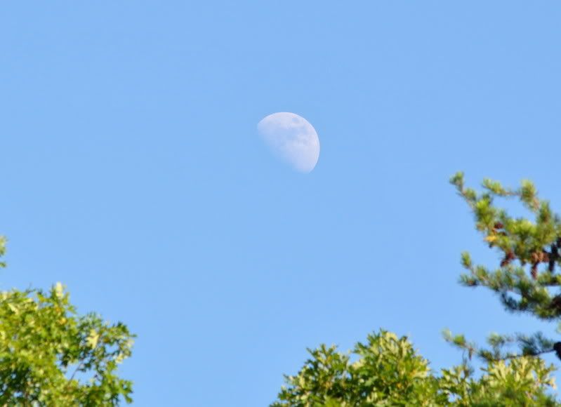 DSC_4570.jpg