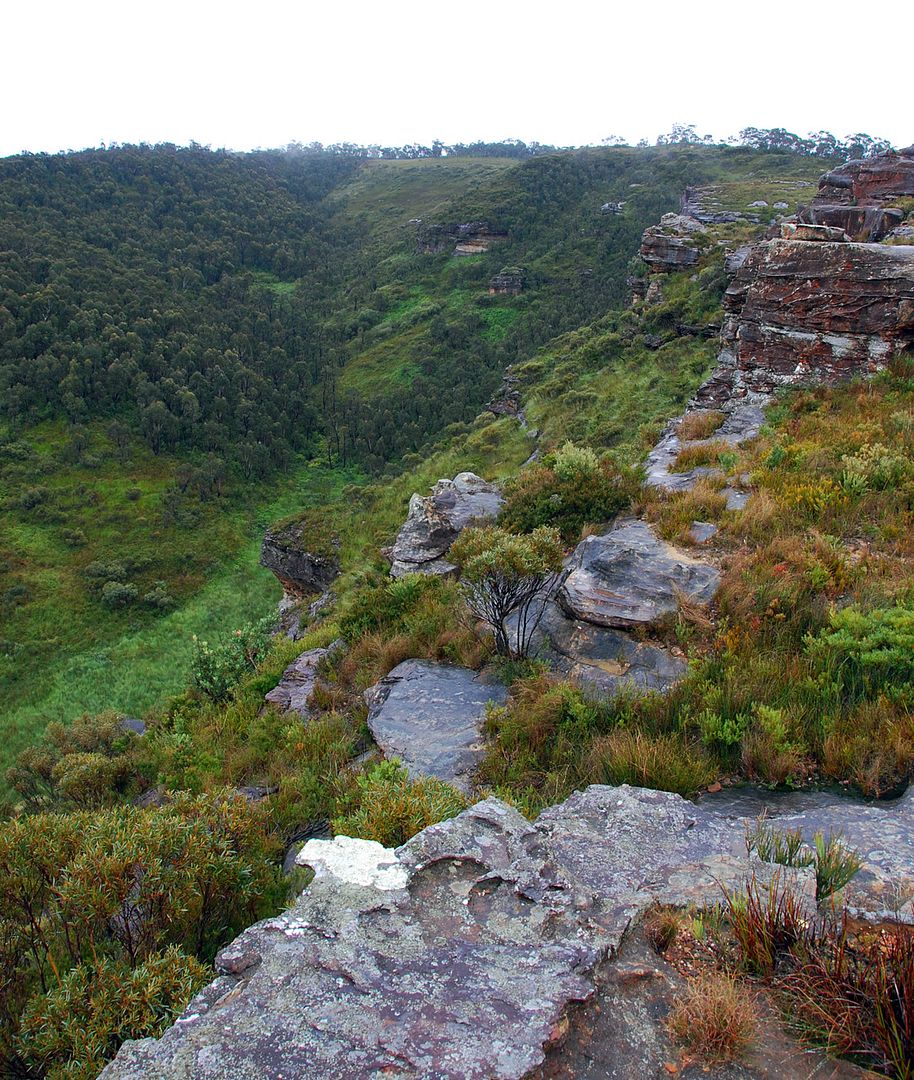 BlueMountains4.jpg