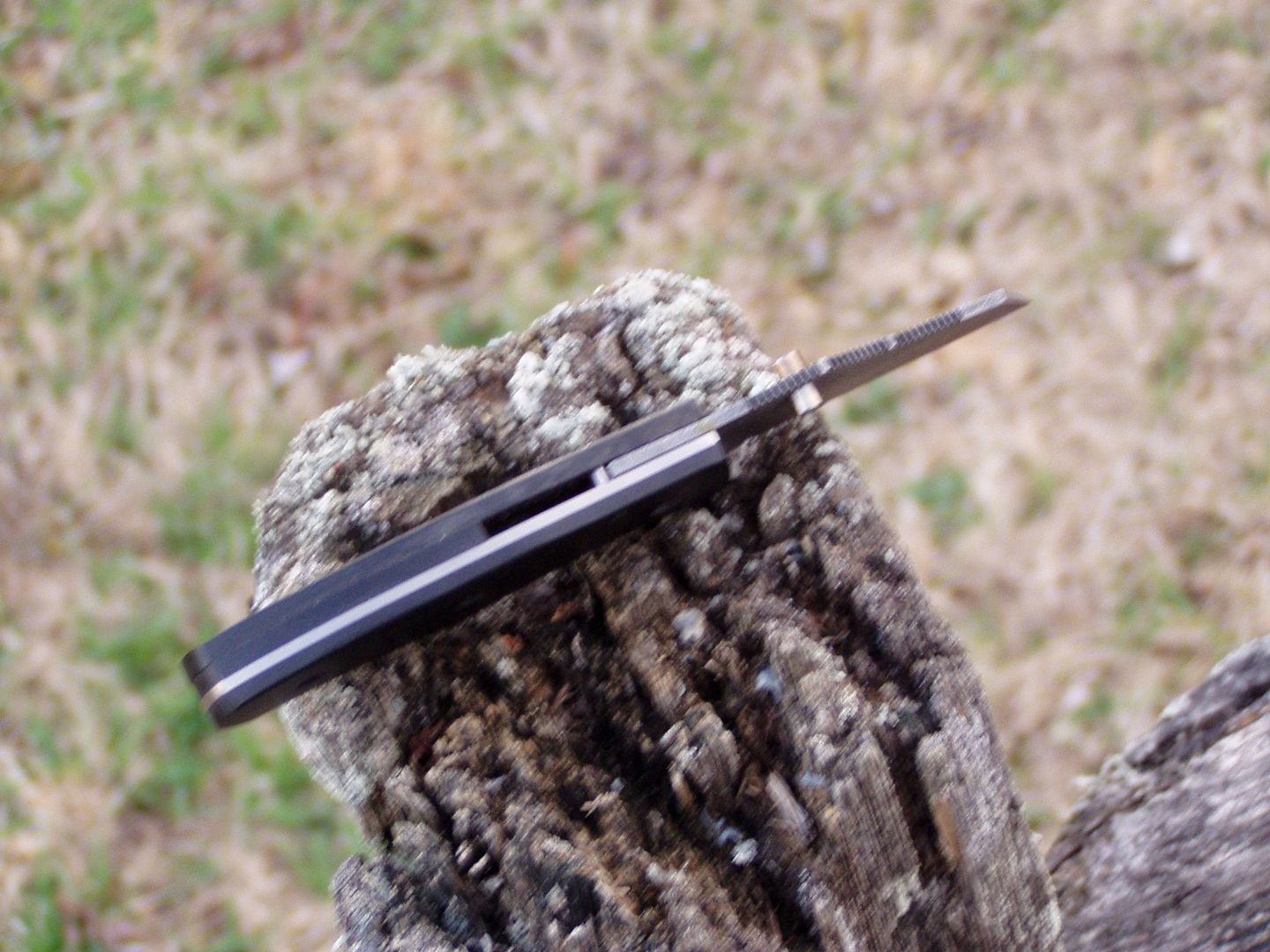 023_zpse7c2986e.jpg