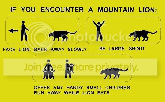 mountain_lion_encounter.jpg