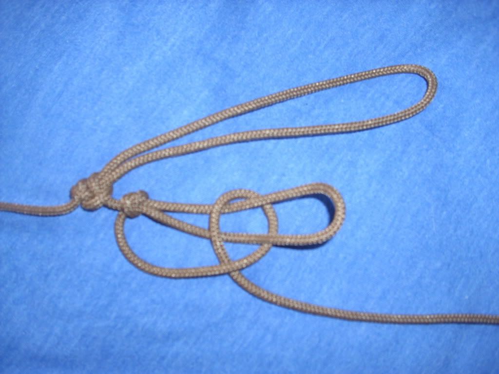 HPIM0671.jpg