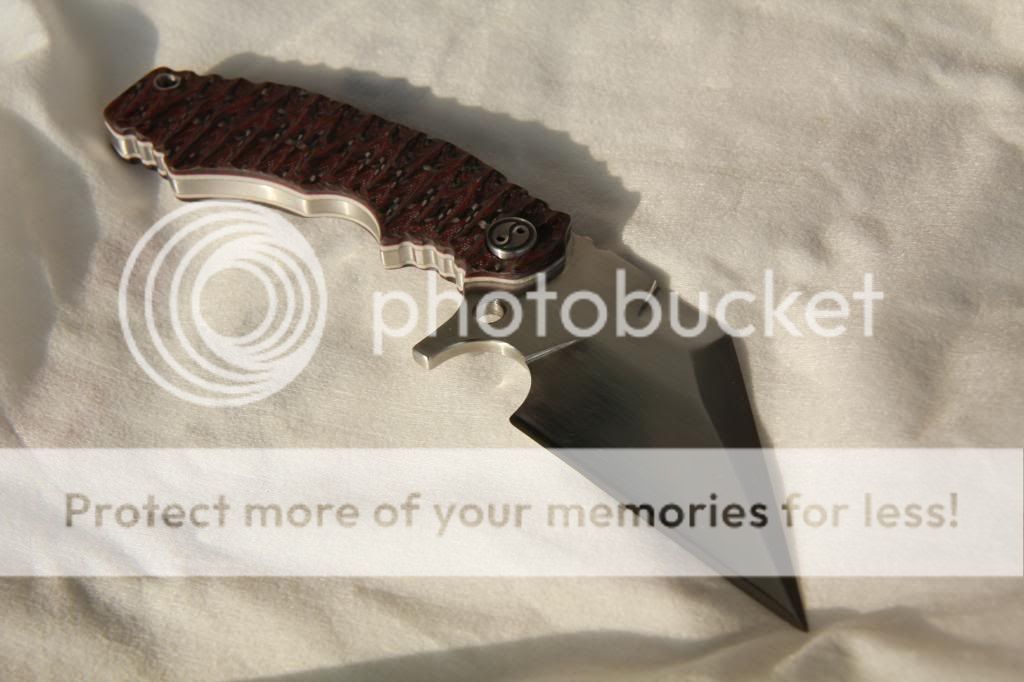 IMG_3042_zpsadb035cd.jpg