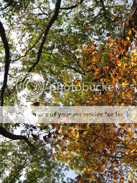 OctoberHike014.jpg