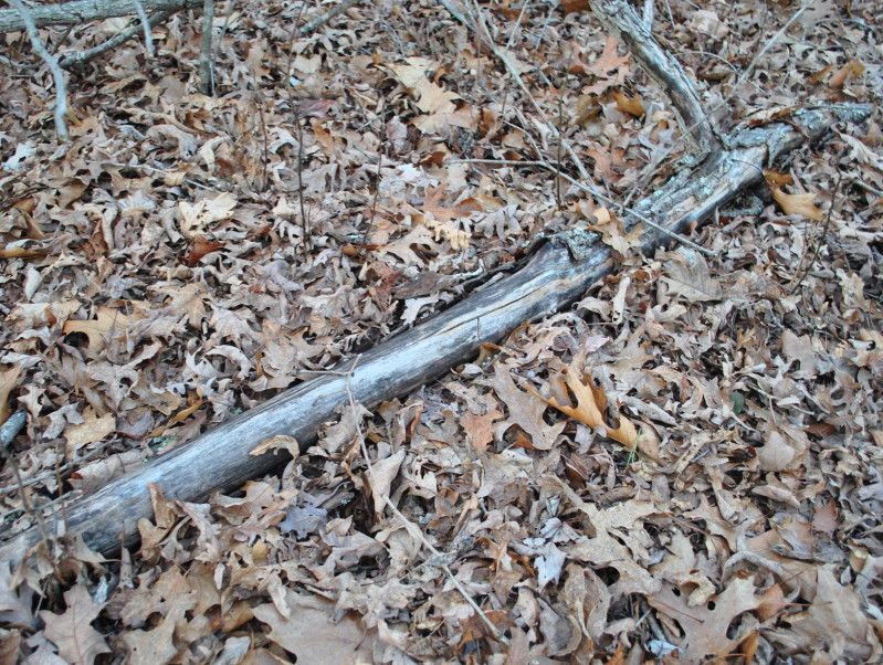 DSC_9546.jpg