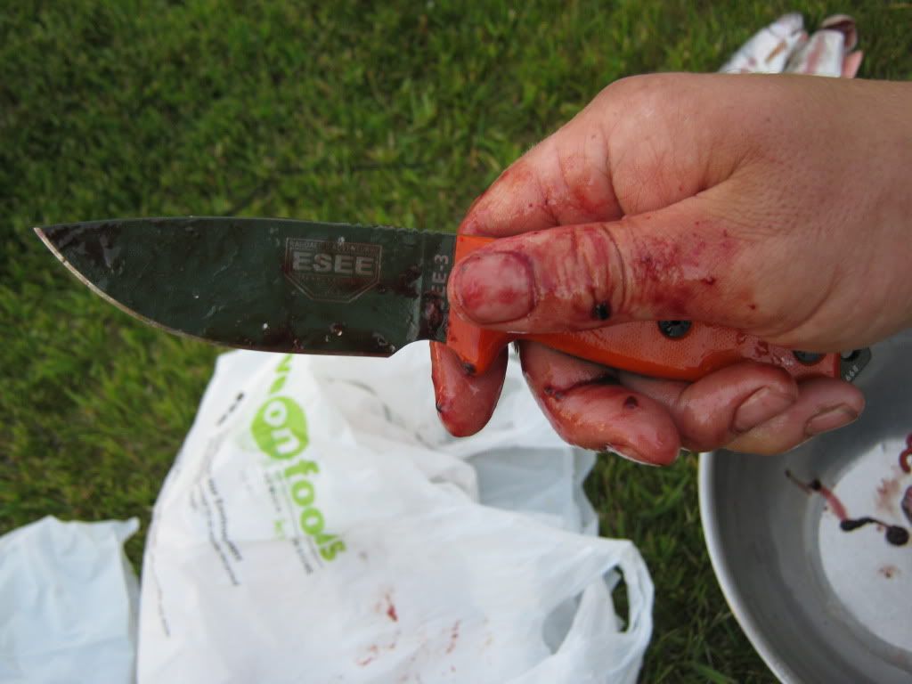 07-08-2010056.jpg