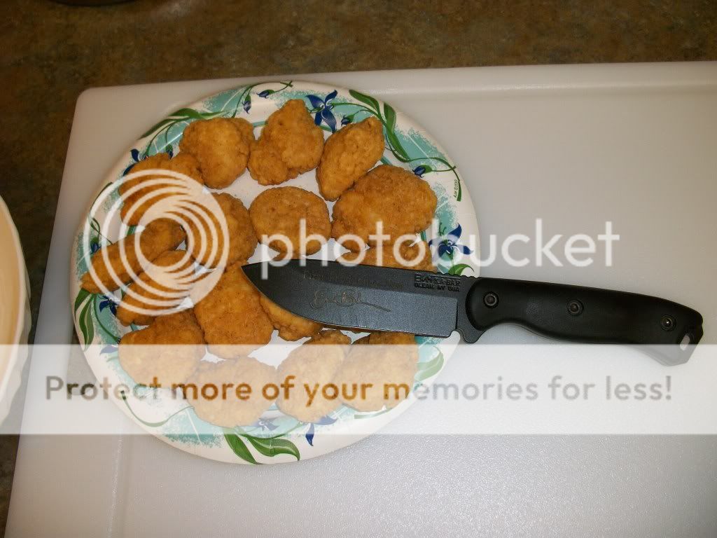 100_1863.jpg
