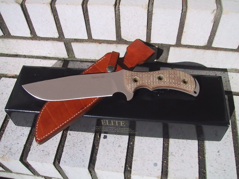 ratsheaths006.jpg