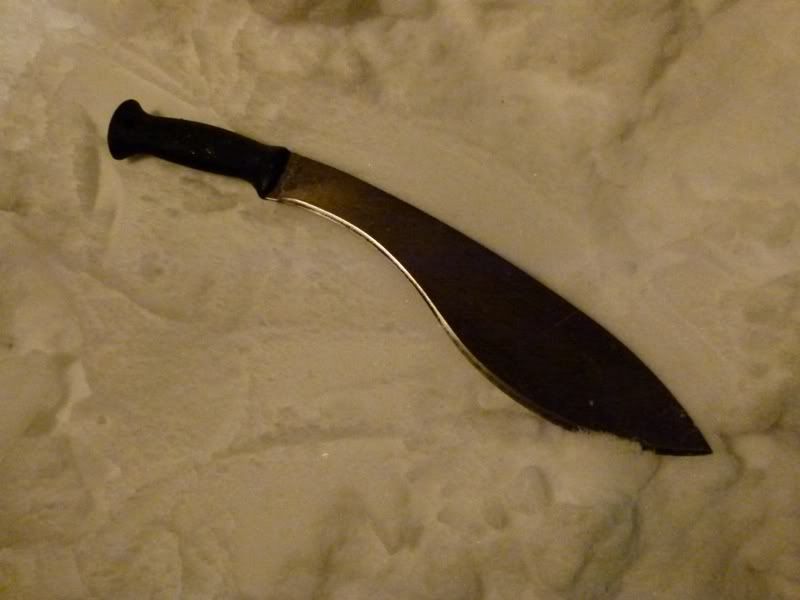 P1000248_.jpg