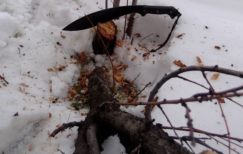 BK21%20Downed%20tree_zps4vvshyrd.jpg