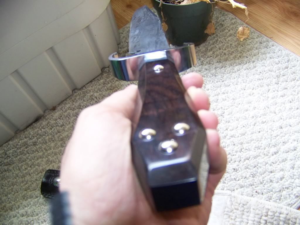 006-3.jpg