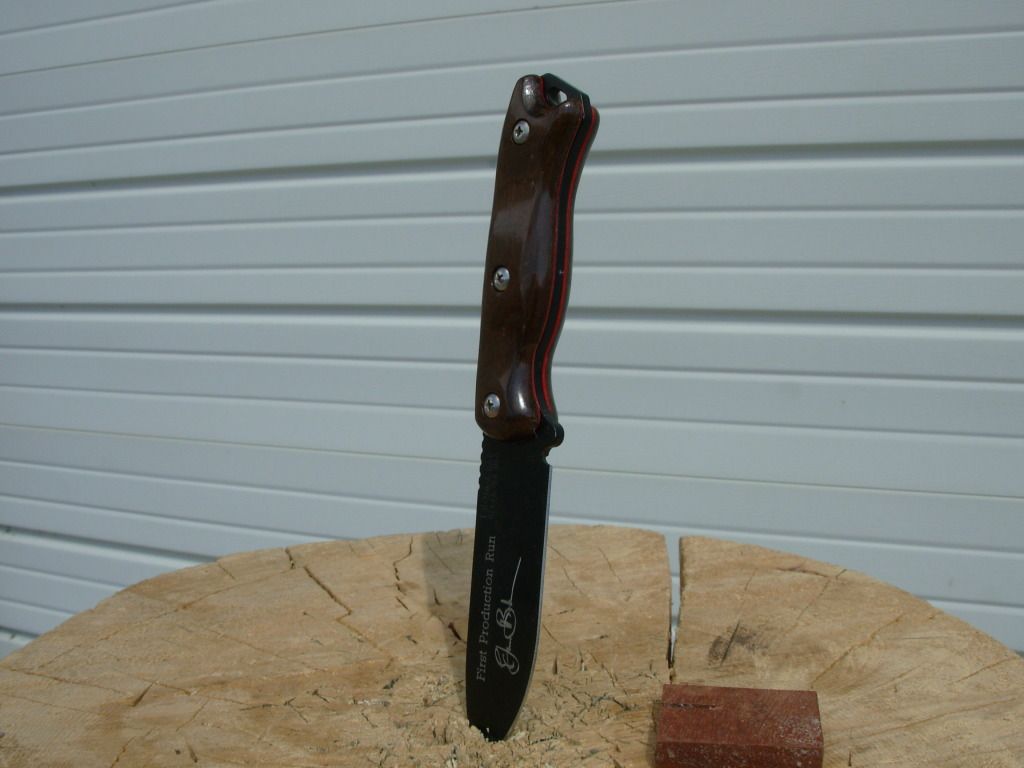 DSCN0987.jpg
