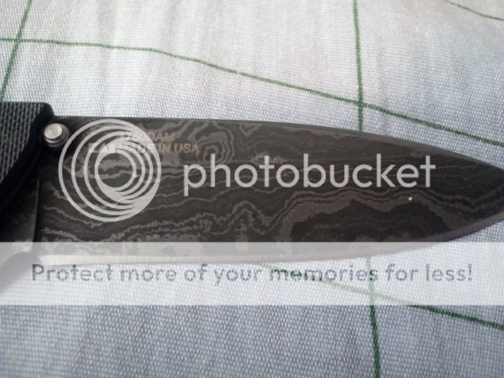 CAM00641_zps2a8b932c.jpg