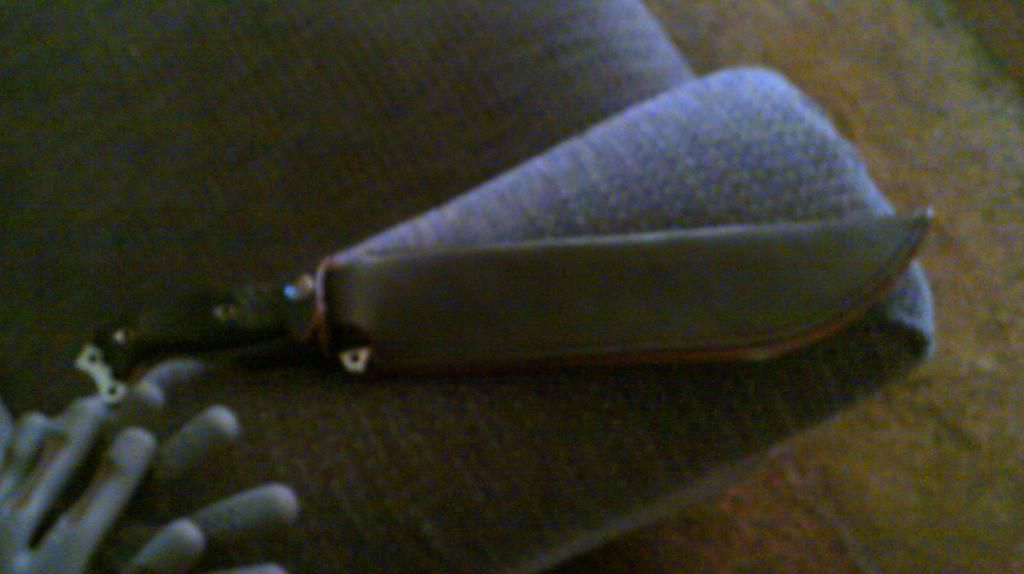 whatisit.jpg