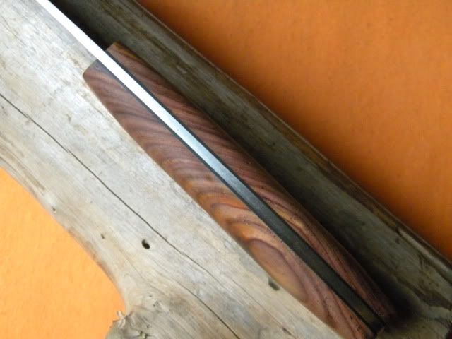 DSCN1882.jpg