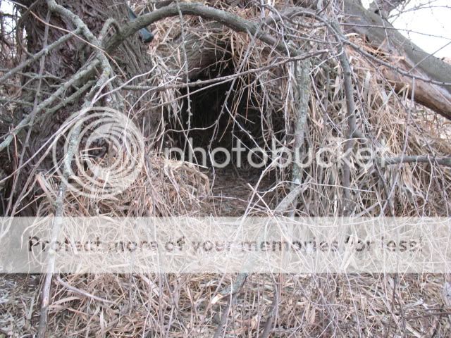 contest_shelter003.jpg