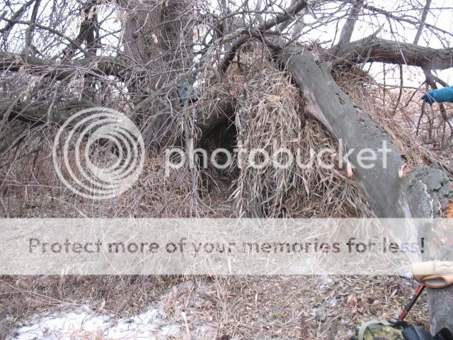 contest_shelter002.jpg