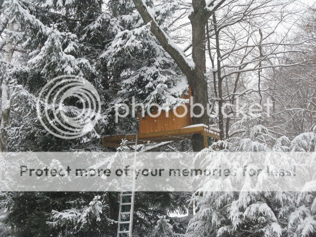 ColinsPictures106.jpg