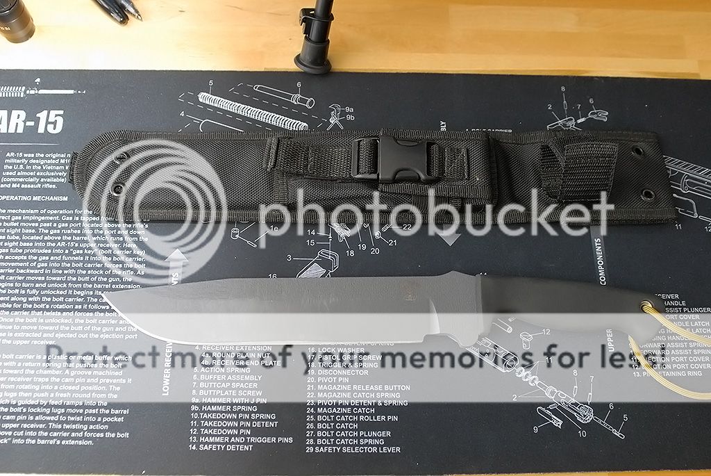 DSC_0462_1350.jpg~original