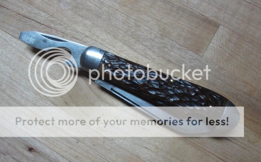 IMG_3635_zps53d432a5.jpg~original