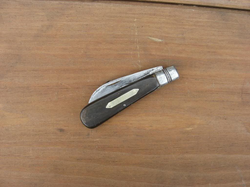 Swayback009.jpg